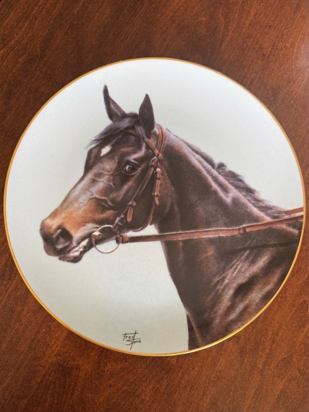 Ruffian Decorative Collector Plate by American Artists - White